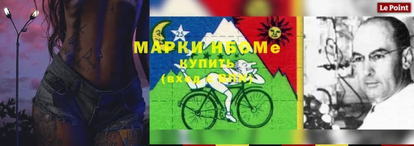 стафф Алзамай