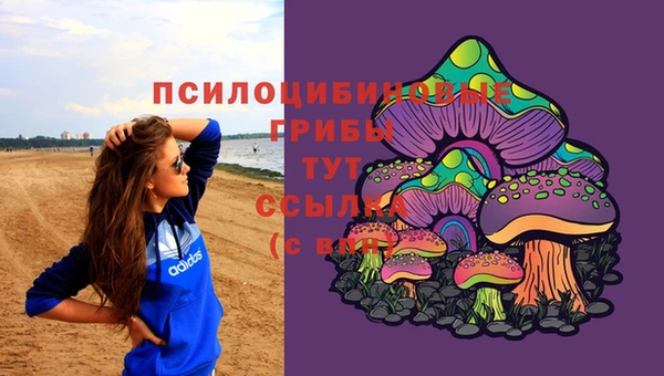 spice Алексеевка