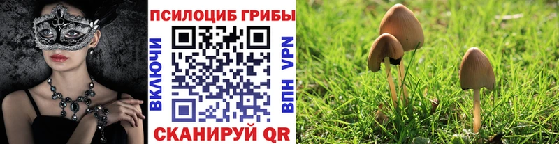 Псилоцибиновые грибы MAGIC MUSHROOMS Тихвин